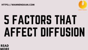 Describe Two Variables That Affect The Rate of Diffusion