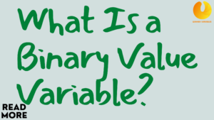 Binary Variables